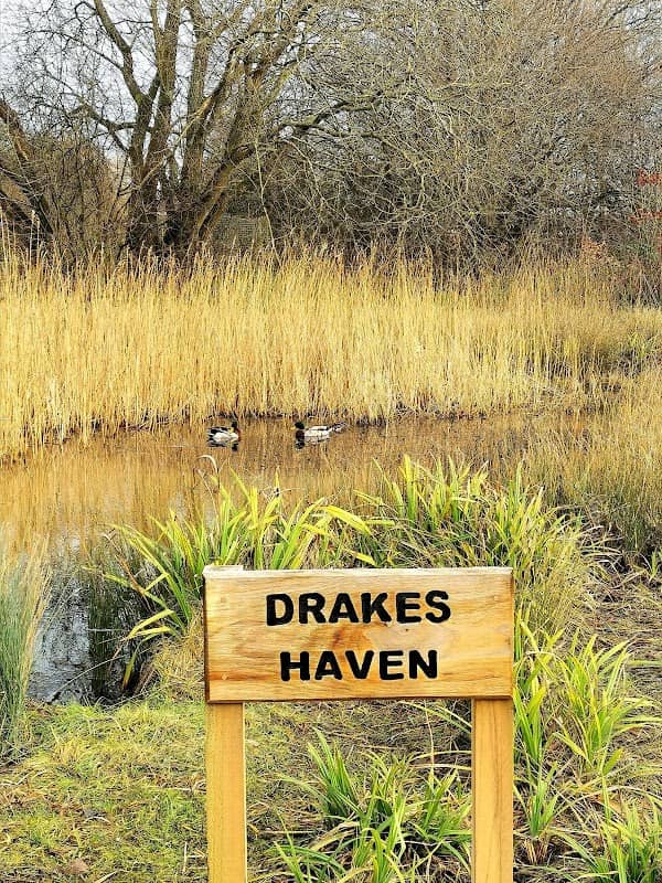 Dobcroft Nature Reserve - Image 2