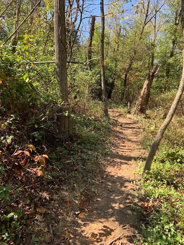Sherando Park Mountain Bike Trails - Image 2