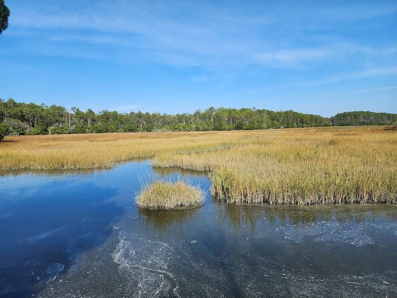 Meggett County Park - Image 2