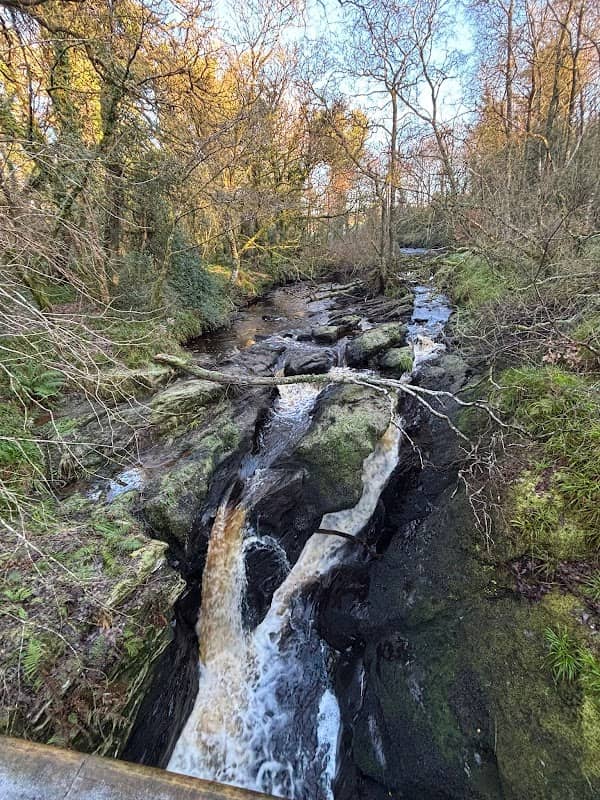 Ness Country Park - Image 1