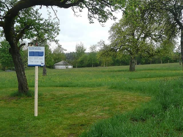 Obstwiese von der Allianz - Image 2