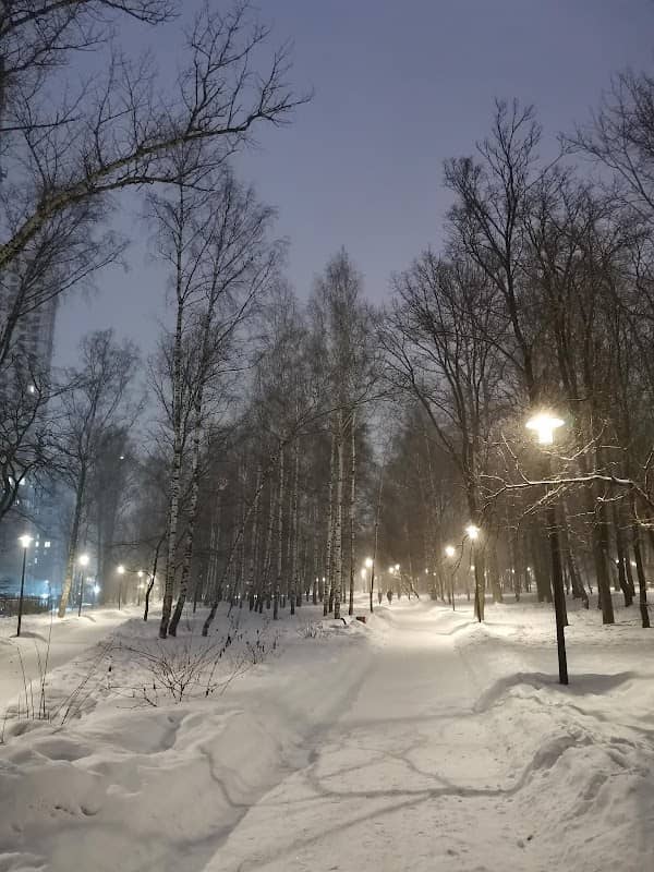 Vagonoremont Park - Image 1