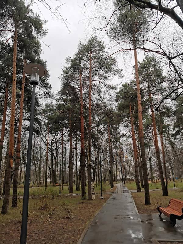 Vagonoremont Park - Image 2