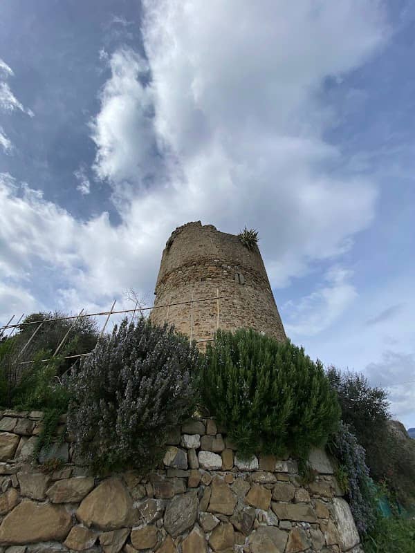 Ruins of Moneta Castle - Image 3
