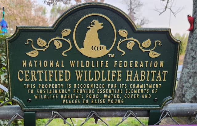 God's Little Green Acre Wildlife Habitat - Image 3