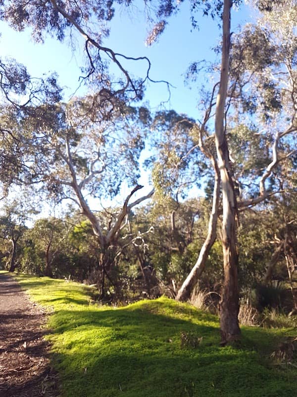 Nixon-Skinner Conservation Park - Image 1