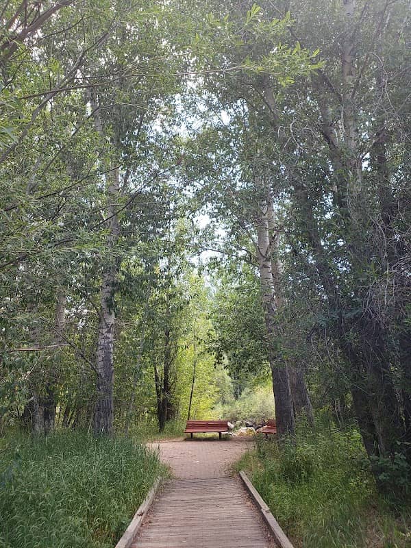 Dr. Rich Weiss Park - Image 2