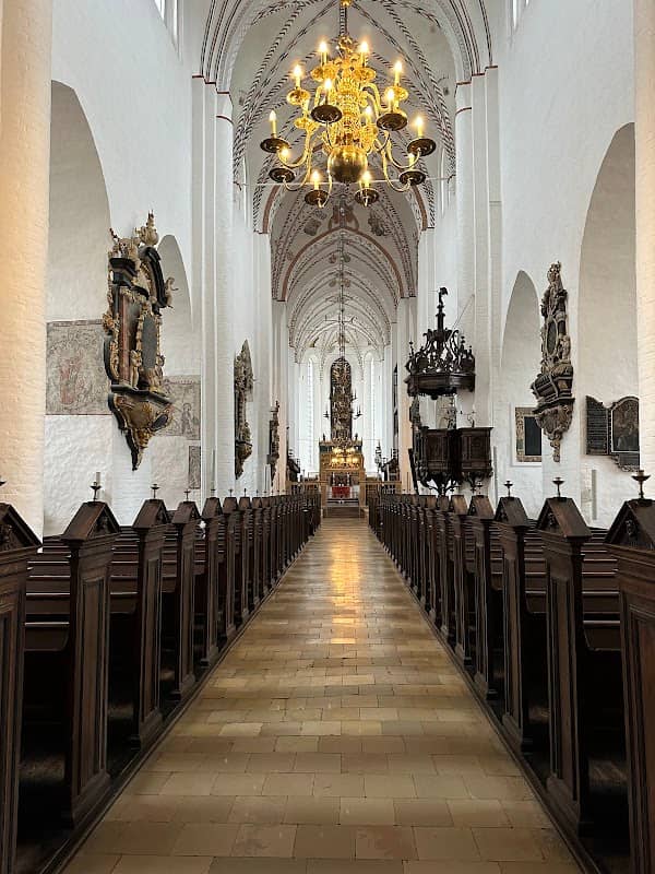 Aarhus Cathedral - Image 3