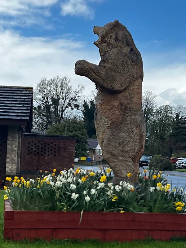 Boris the Bear - Image 1