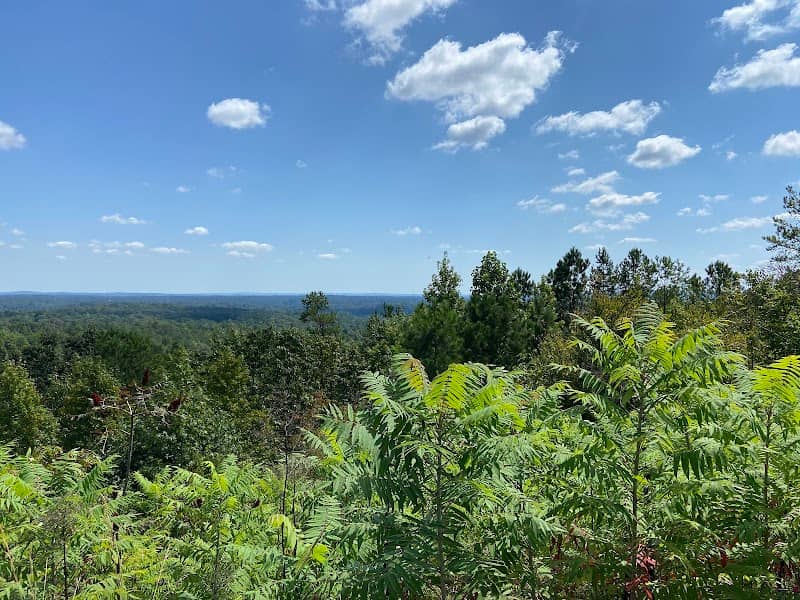 Scenic Overlook - Image 1