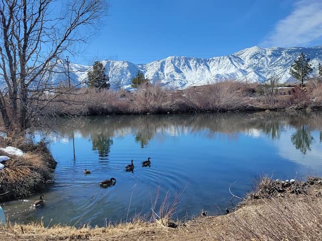 Jake's Wetland and Wildlife Meadow - Image 2