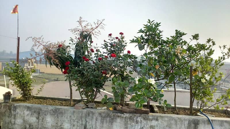 Jawaharlal Nehru Park - Image 1