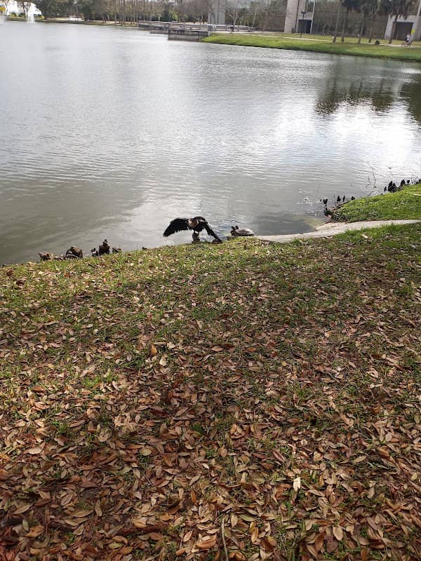 Turtle Pond - Image 3