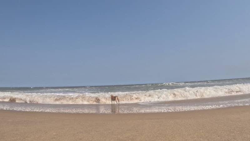 Paramankeni Beach - Image 1