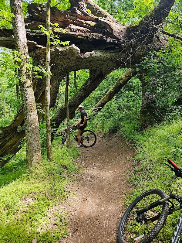 Smith Park Mountain Bike Trail - Image 1