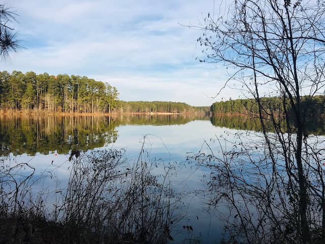 UGA Rowing Boathouse - Image 2