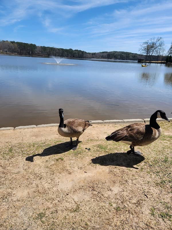 Lake Peachtree - Image 2