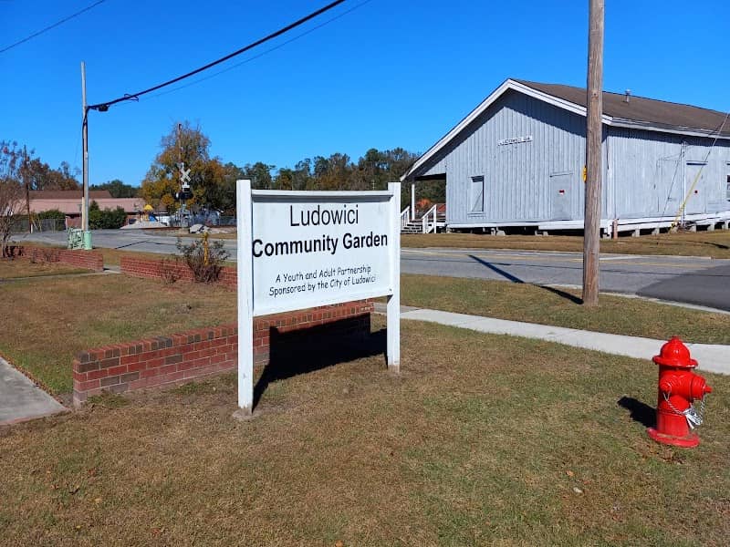 Ludowici Community Garden - Image 1