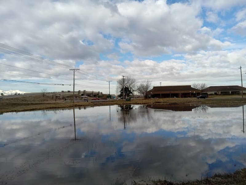 Widders Pond - Image 2