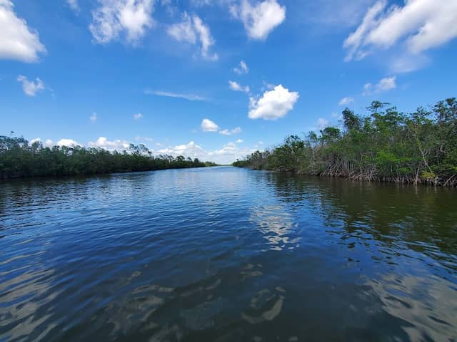 Charlotte Harbor Preserve State Park - Image 2