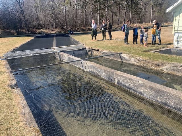 Osceola State Fish Hatchery - Image 1