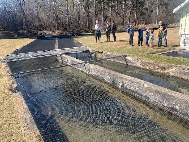 Osceola State Fish Hatchery - Image 1