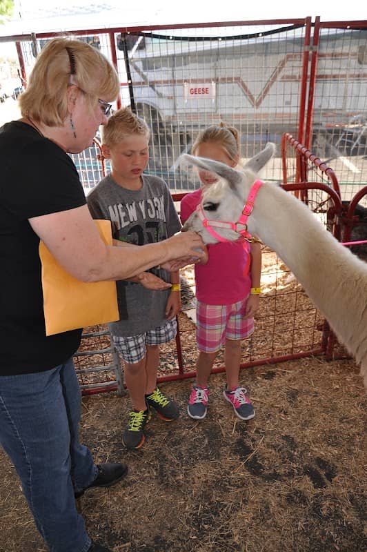 Hooker Farms Petting Zoo by Terry Kennedy - Image 1