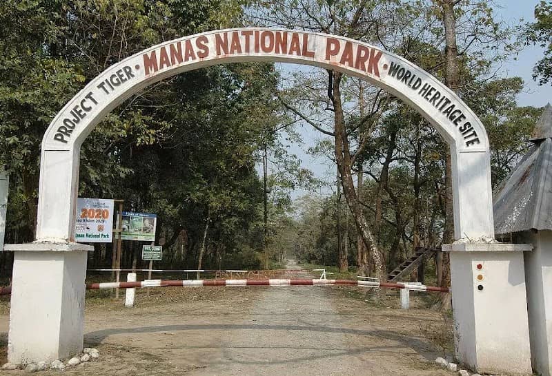 Manas National Park - Image 1