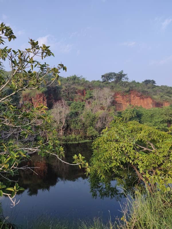 Nanmangalam Reserve Forest - Image 2
