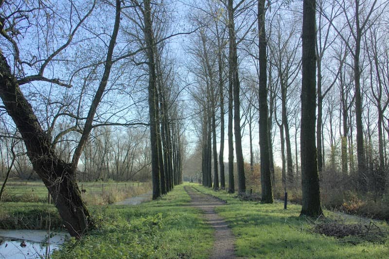Regulieren - Image 1
