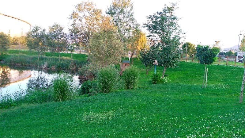Duru göl - Image 2