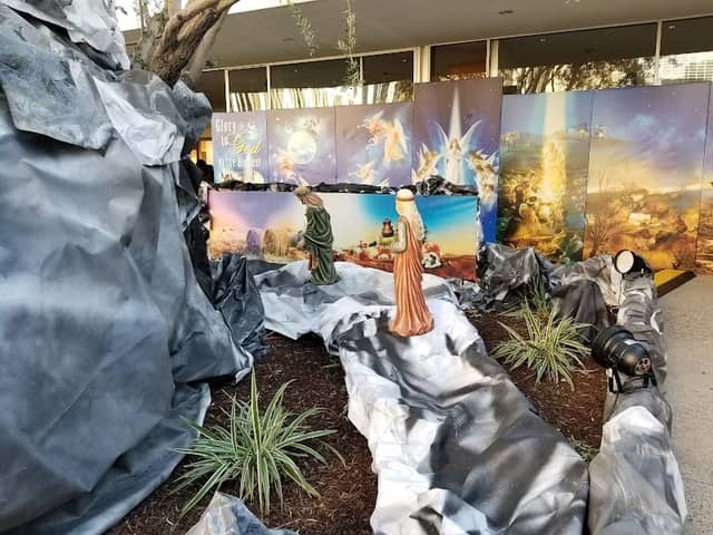 Christ Cathedral Arboretum - Image 2