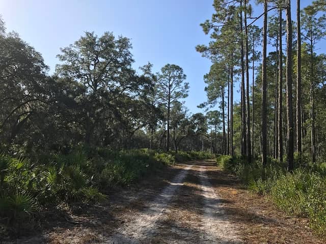 Johns Landing Trailhead - Image 2