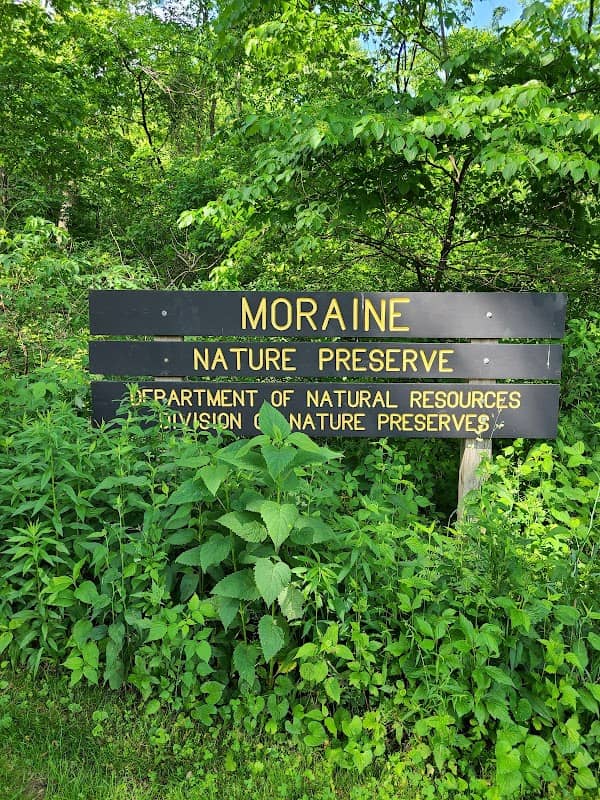 Moraine Nature Preserve - Image 2