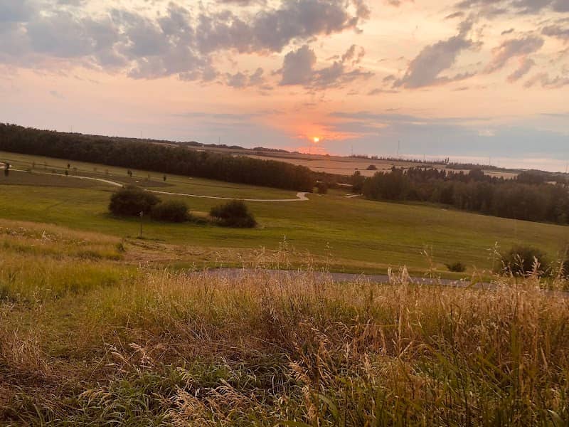 Langworthy Park - Image 1