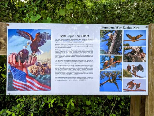 Founders Way Eagles' Nest - Image 3