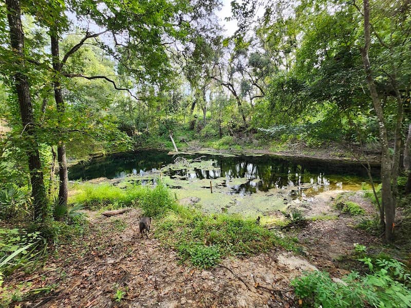 Falmouth Springs - Image 2