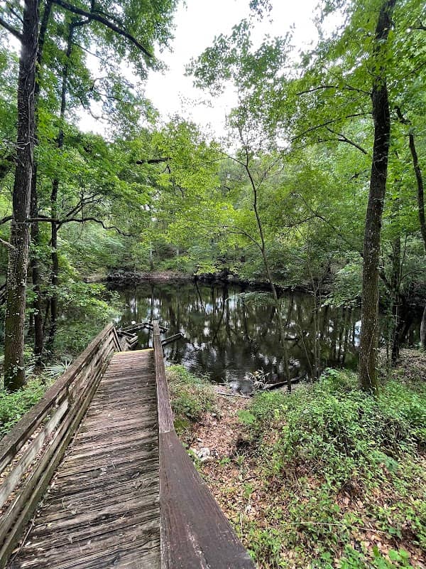 Falmouth Springs - Image 1