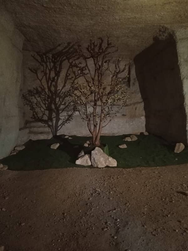 Priare di Montecchio - Image 1
