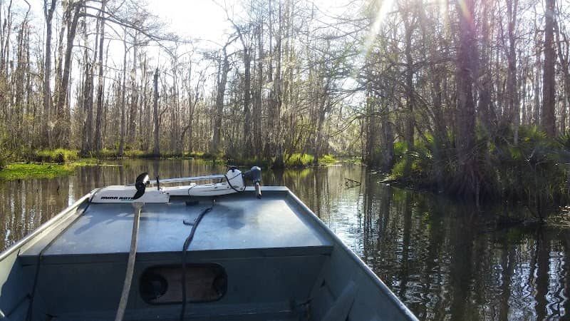 Bayou Teche National Wildlife Refuge - Garden City Unit - Image 1