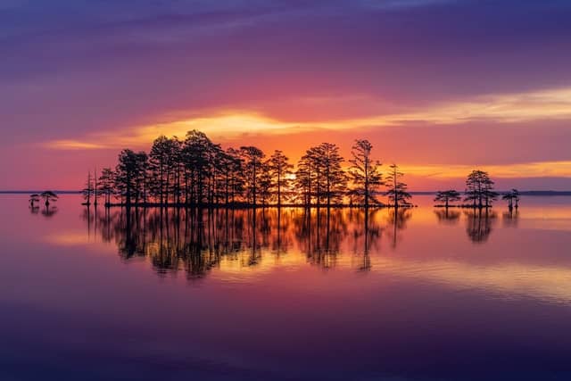 Lake Mattamuskeet Observation Deck - Image 2