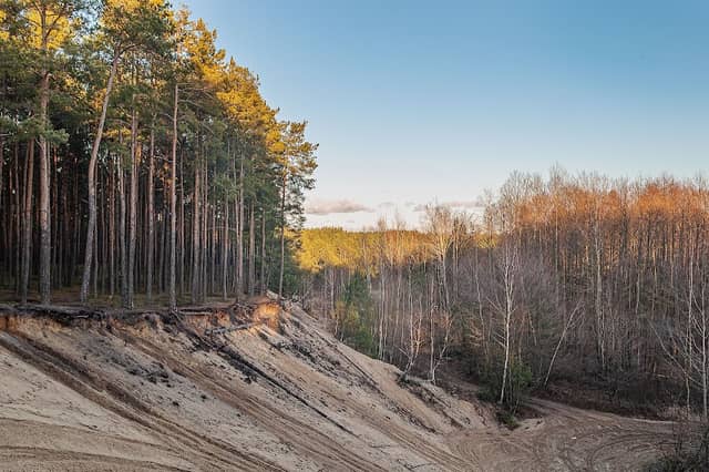 Górki piaskowe aka Krystyńskie - Image 1