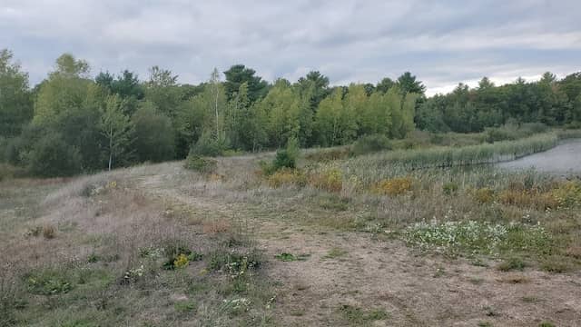 Union Point Wildlands Trust Trail - Image 1