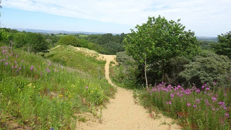 Merthyr Mawr Nature Reserve - Image 2