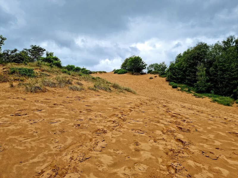 Merthyr Mawr Nature Reserve - Image 1