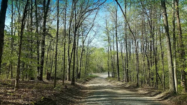 Motts Run Reservoir Recreation Area - Image 2
