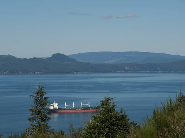 The Astoria Column - Image 2
