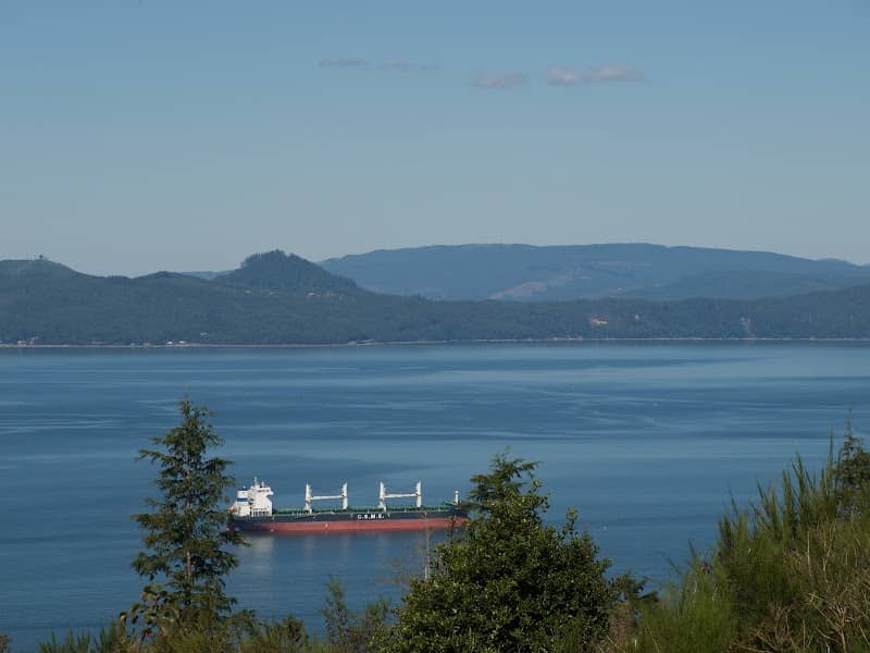 The Astoria Column - Image 2