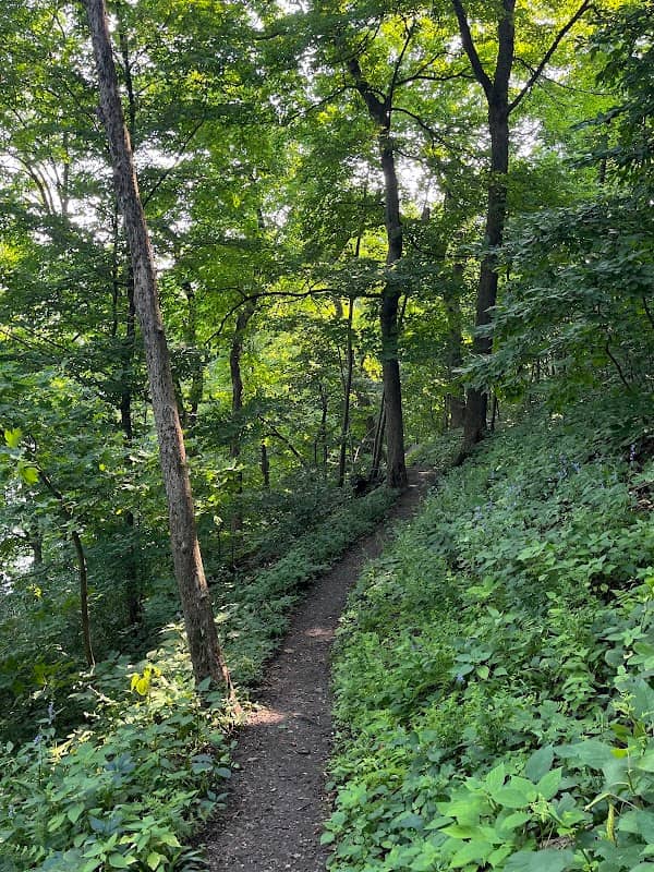 Devil's Staircase Trail - Image 2