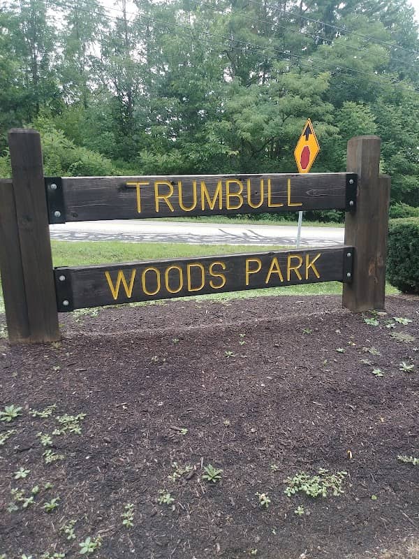 Trumbull Woods Park - Image 2
